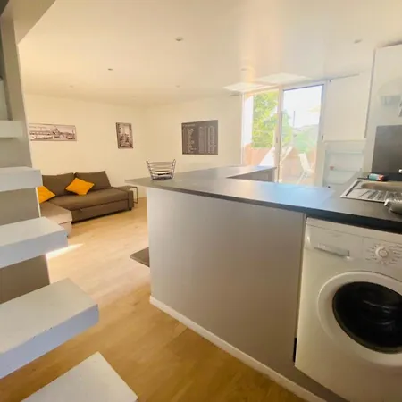 T3 En Duplex Pour 6 Pers Bien Place Terrasse Et Parking Inclus * تولوز
