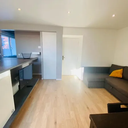 T3 En Duplex Pour 6 Pers Bien Place Terrasse Et Parking Inclus Apartment