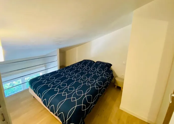Appartement Beau T3 En Duplex Terrasse Et Parking Bien Placé *